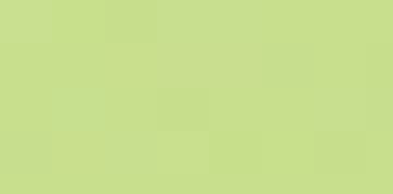 vee Bel terug efficiëntie gekleurd) Kopieerpapier: Gekleurd papier A3 160 gr Bright Green 250 vel |  Tangara groothandel - Totaalleverancier voor kinderopvang