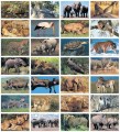 Stickers serie 140 - wilde dieren