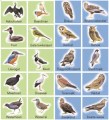 Stickers serie 27 - weide- en roofvogels